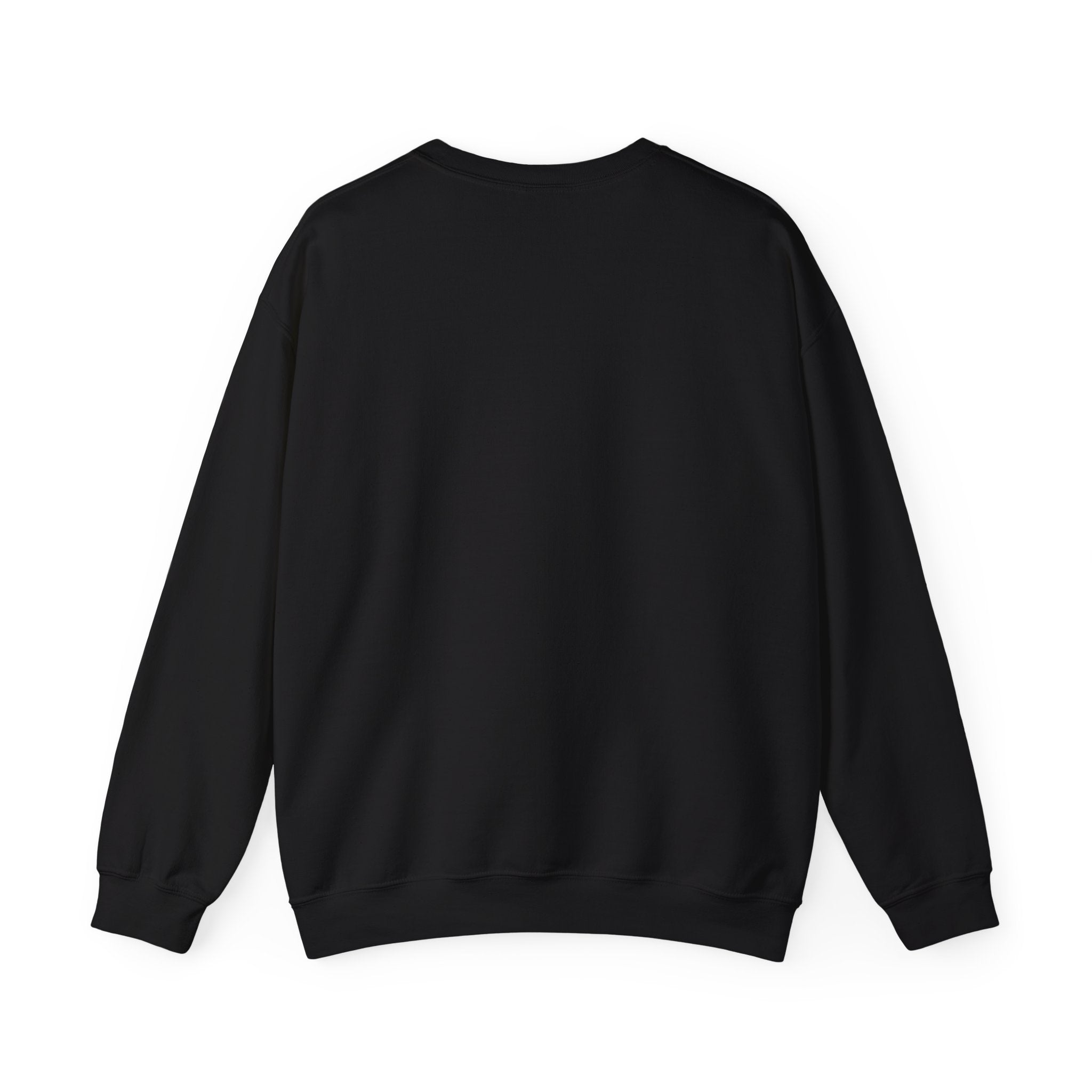 Crewneck Sweatshirt — "We Don't Care" Seahawks-Inspired Graphic
