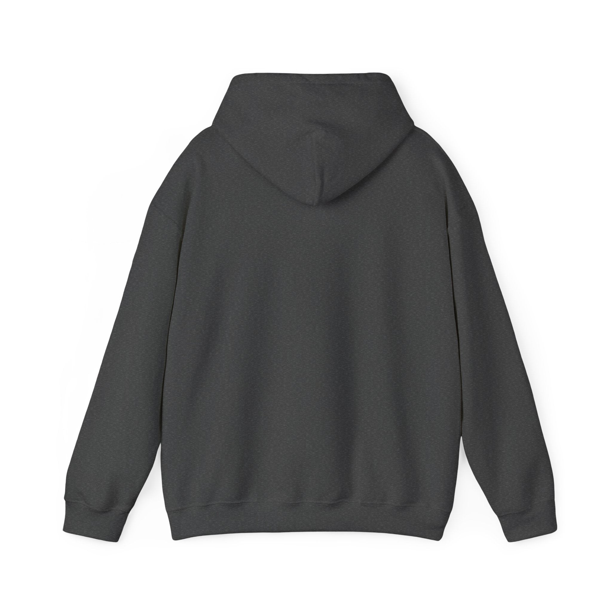 Classic Hooded Sweatshirt — Comfortable Everyday Pullover