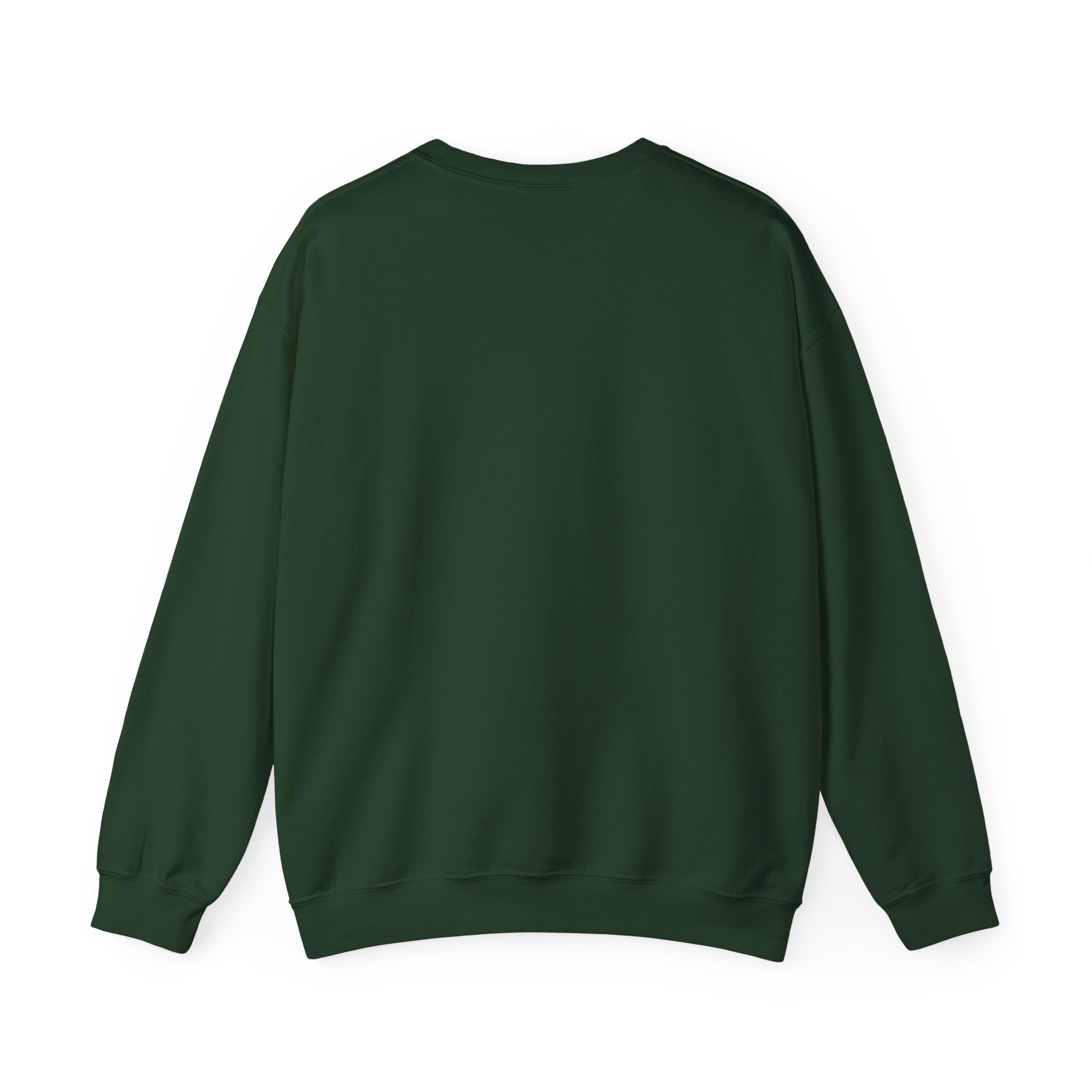 Crewneck Sweatshirt — "We Don't Care" Seahawks-Inspired Graphic
