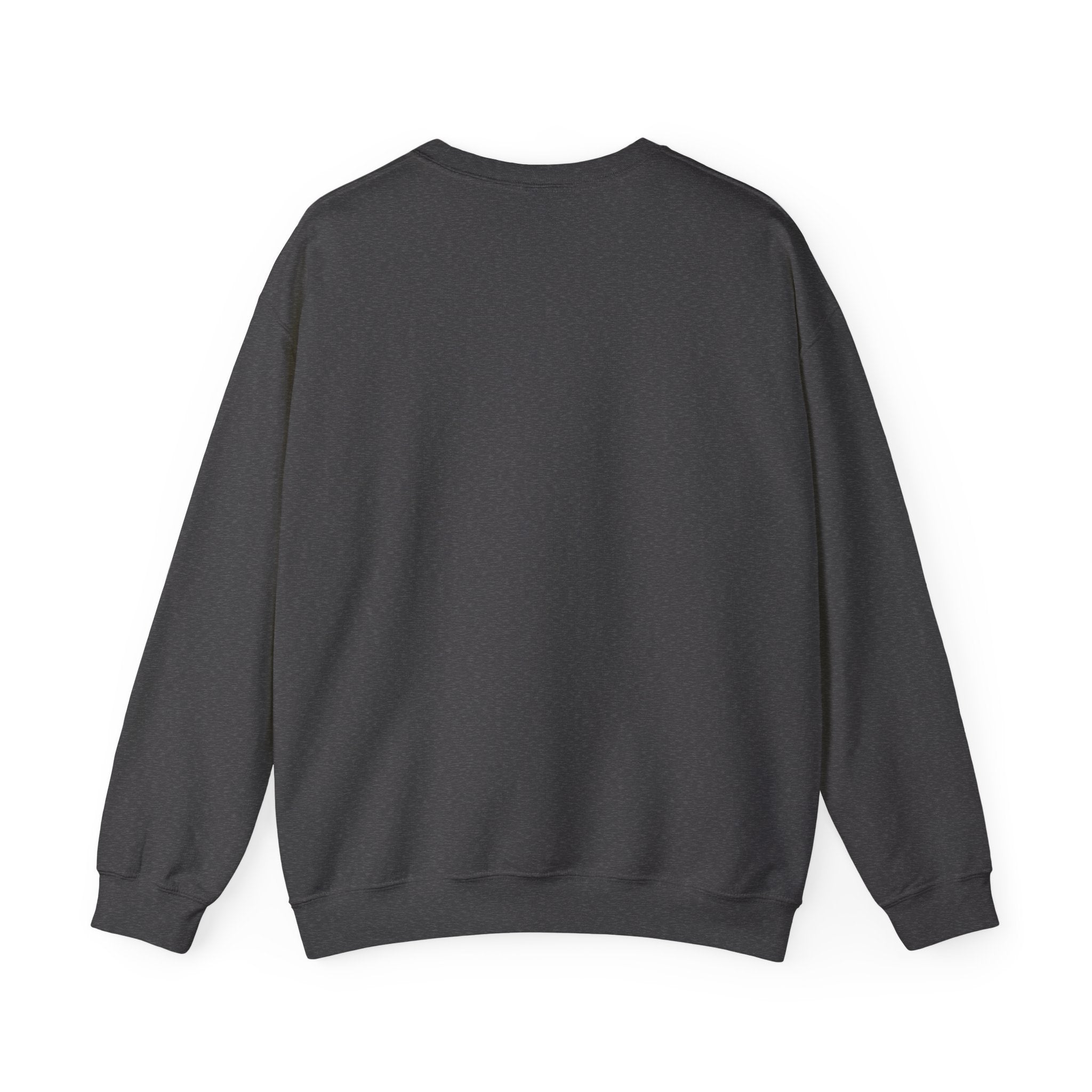 Crewneck Sweatshirt — "We Don't Care" Seahawks-Inspired Graphic