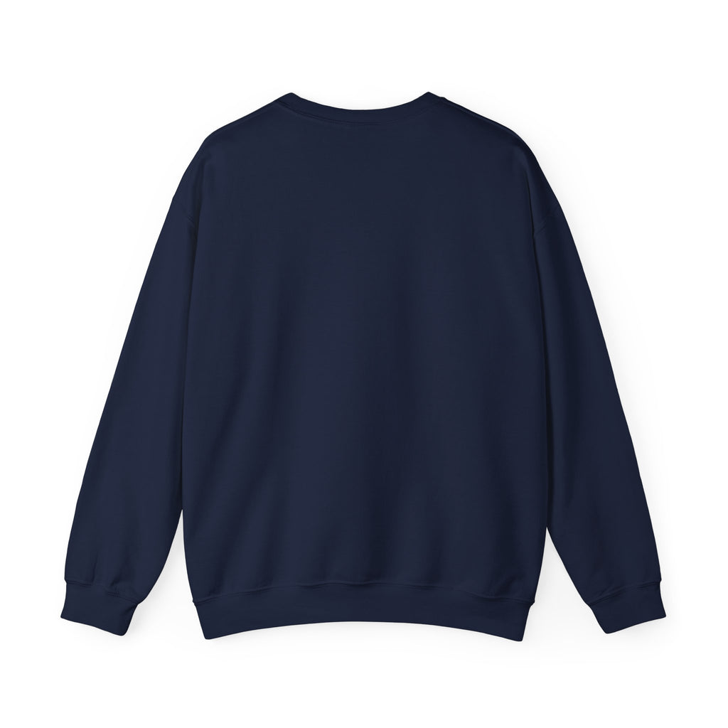 Crewneck Sweatshirt — "We Don't Care" Seahawks-Inspired Graphic