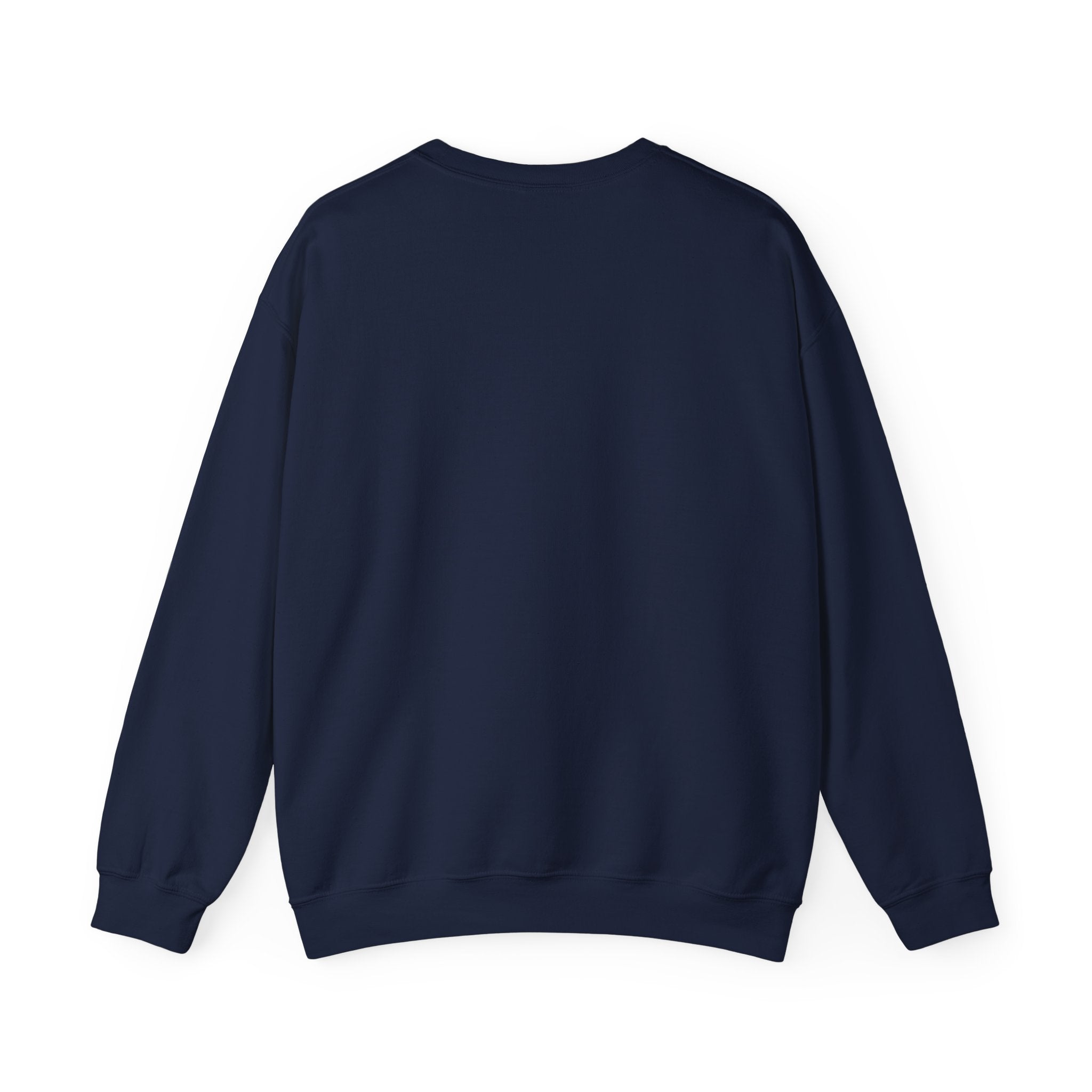 Crewneck Sweatshirt — "We Don't Care" Seahawks-Inspired Graphic
