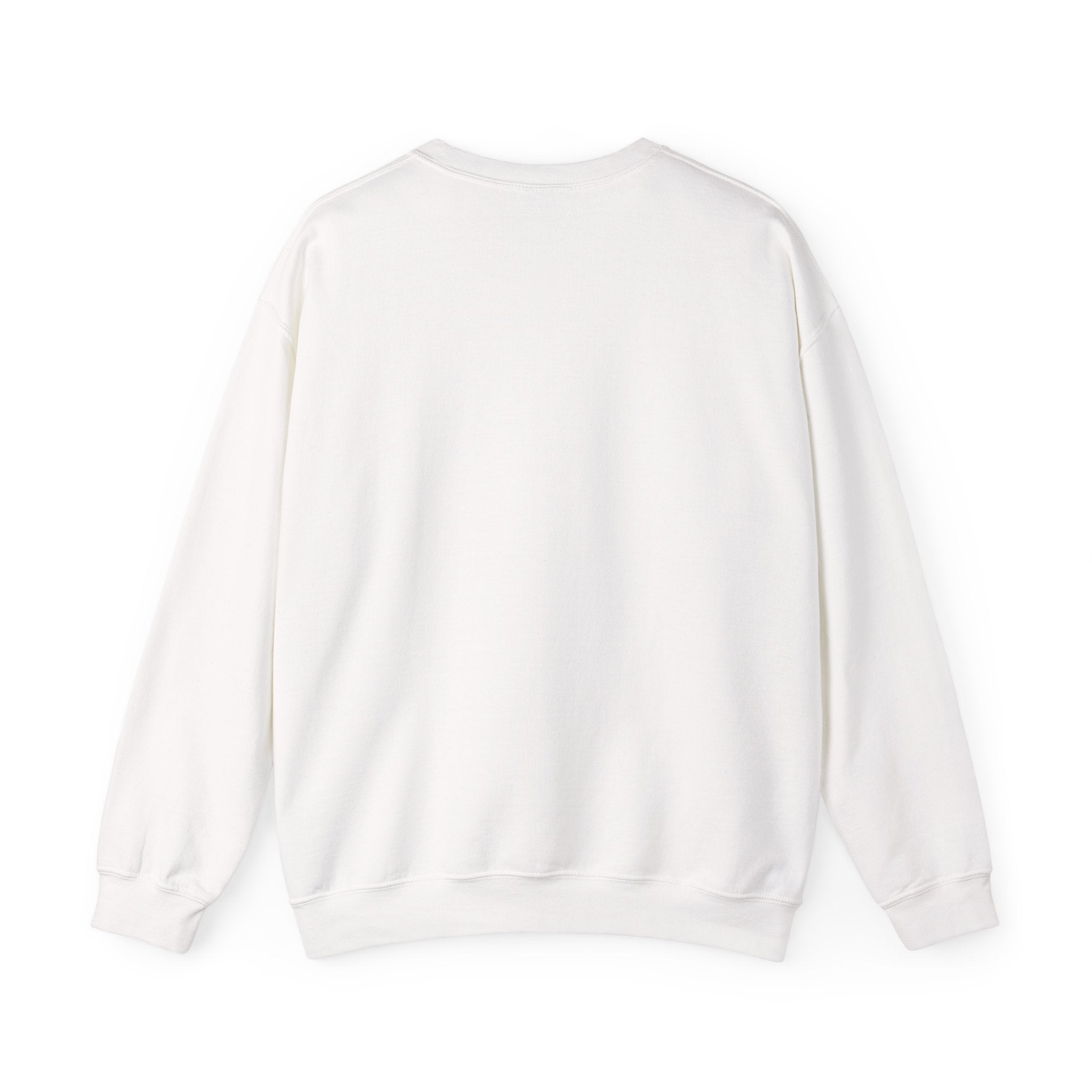 Crewneck Sweatshirt — "We Don't Care" Seahawks-Inspired Graphic