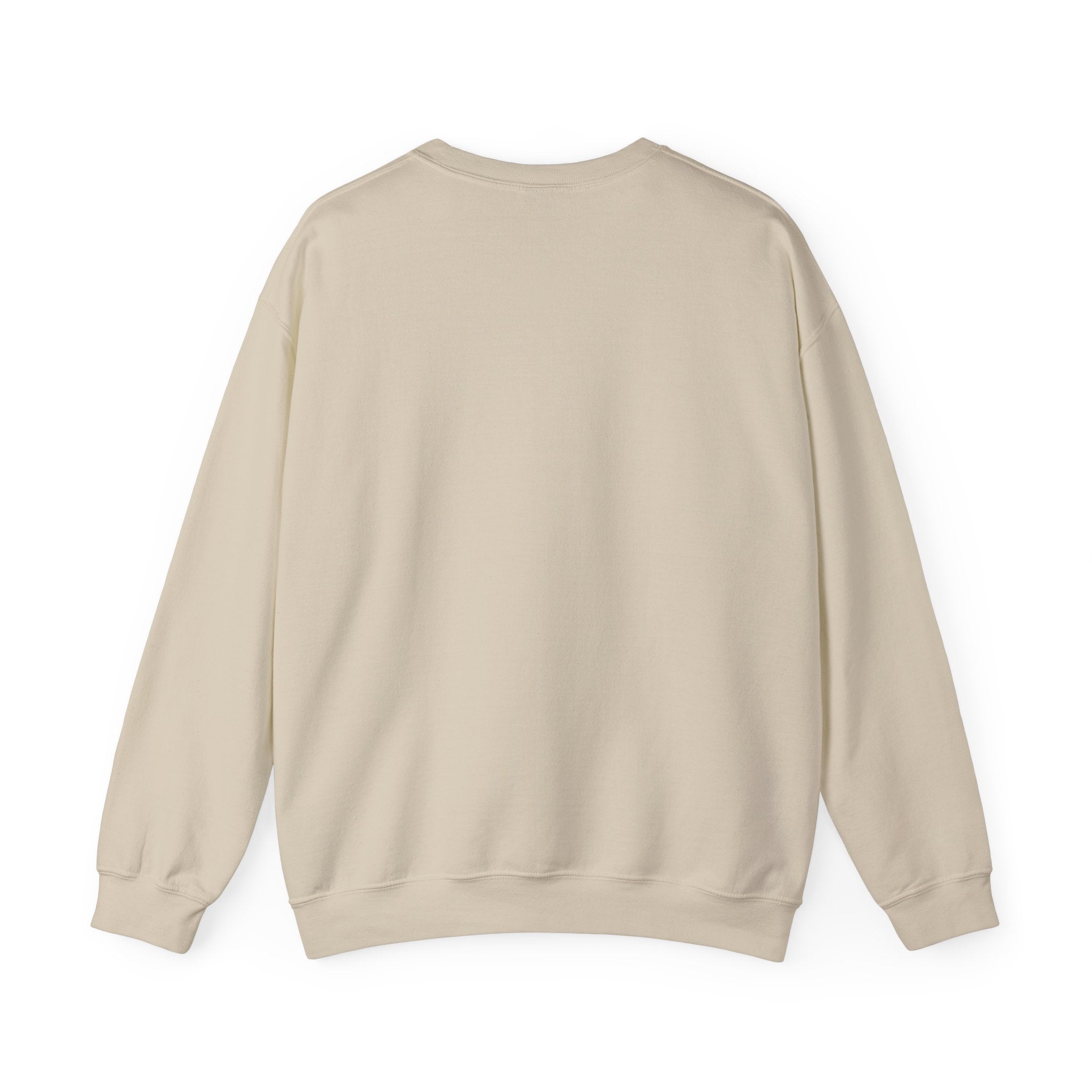 Crewneck Sweatshirt — "We Don't Care" Seahawks-Inspired Graphic