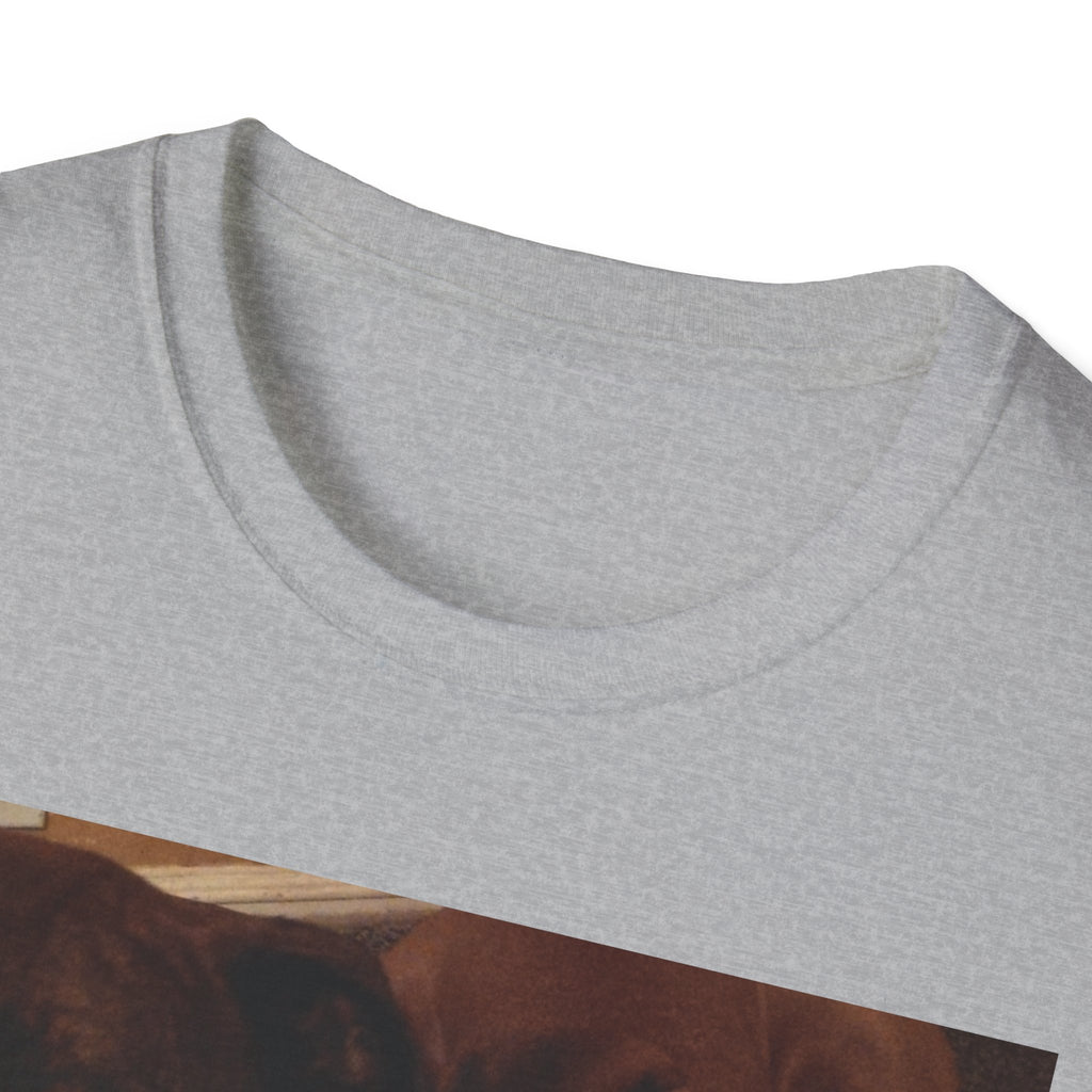 Unisex Softstyle T-Shirt