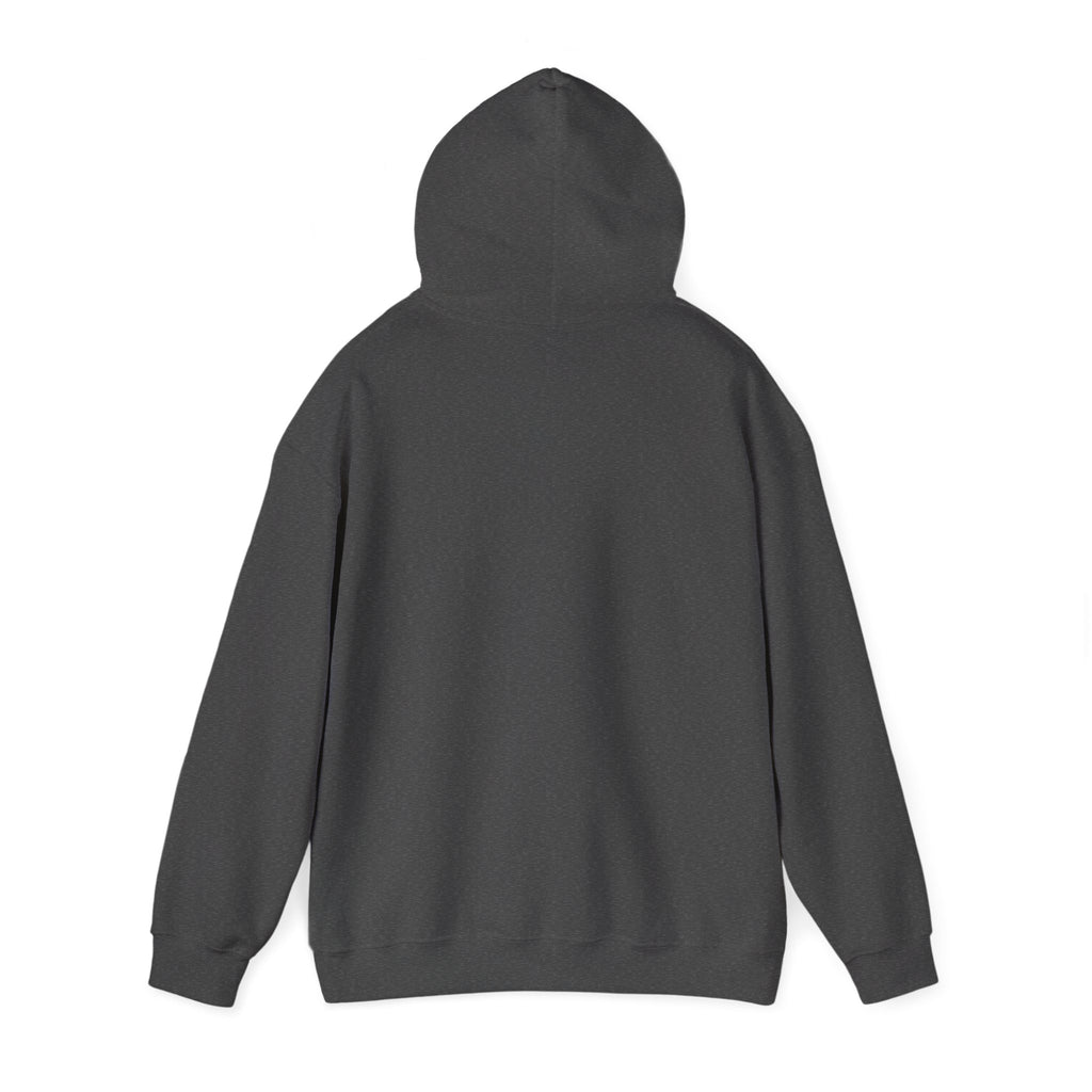Classic Hooded Sweatshirt — Comfortable Everyday Pullover