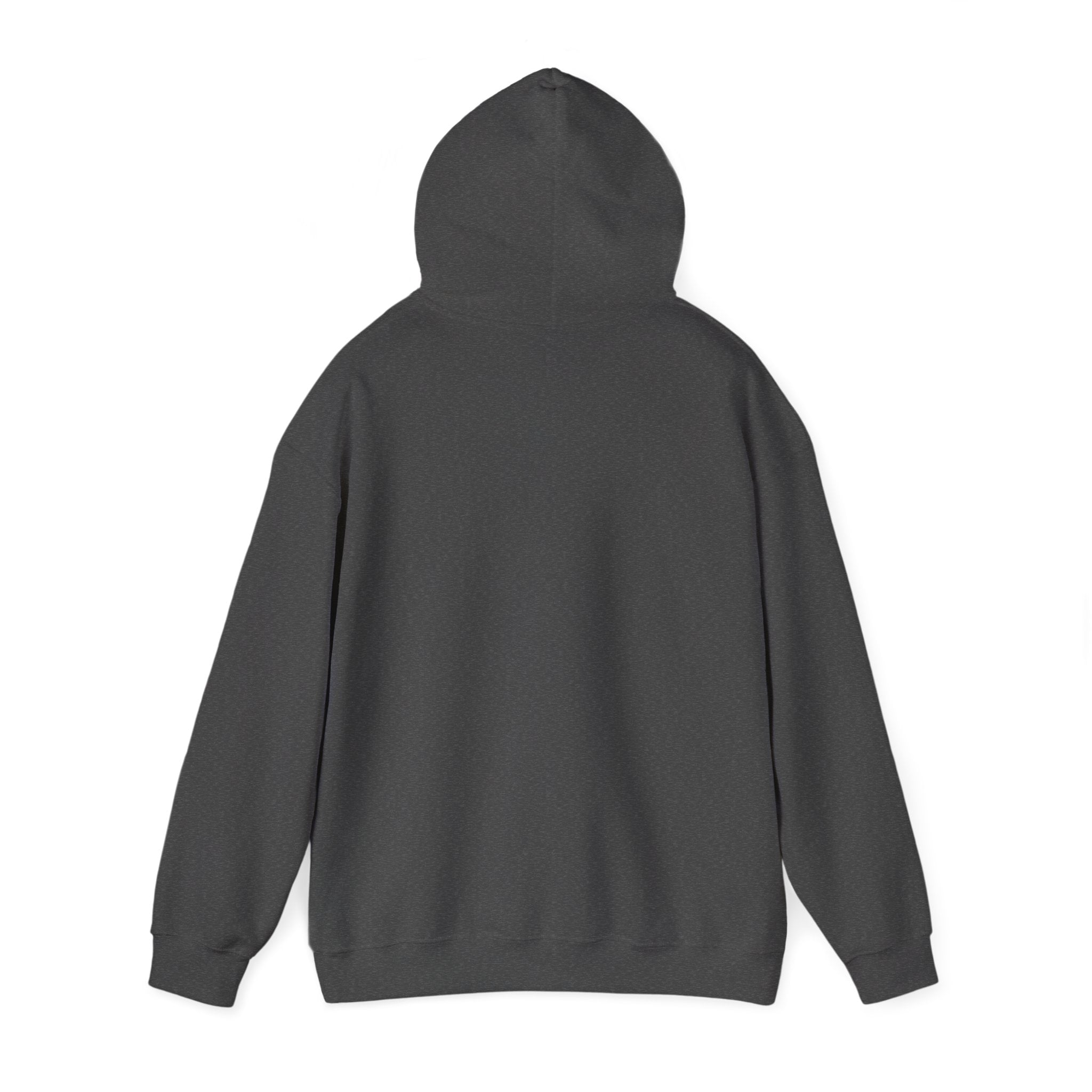 Classic Hooded Sweatshirt — Comfortable Everyday Pullover