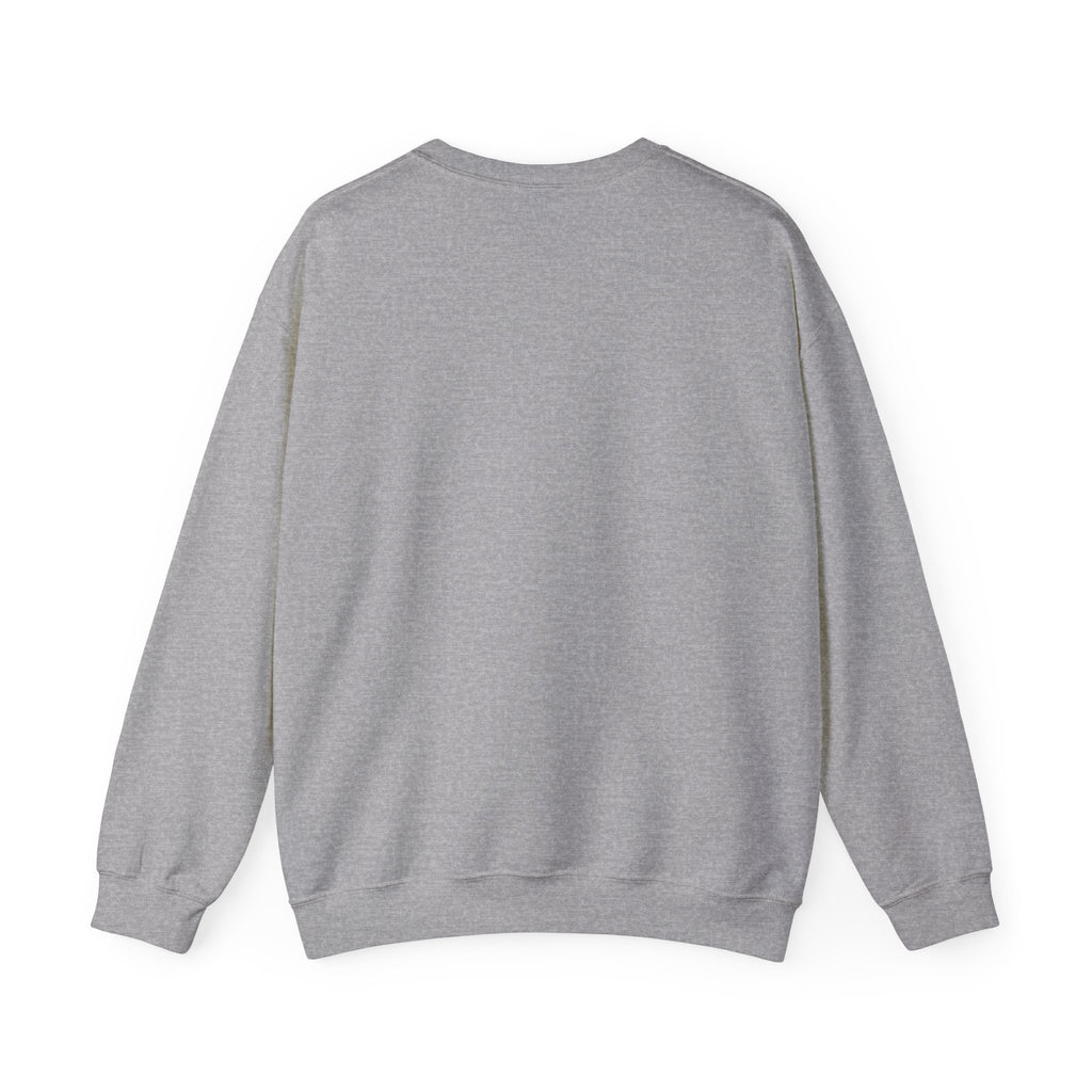 Crewneck Sweatshirt — "We Don't Care" Seahawks-Inspired Graphic