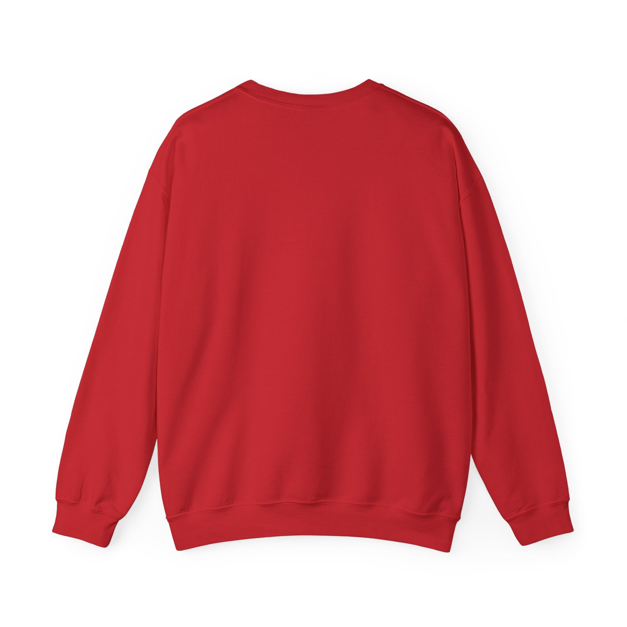 Crewneck Sweatshirt — "We Don't Care" Seahawks-Inspired Graphic